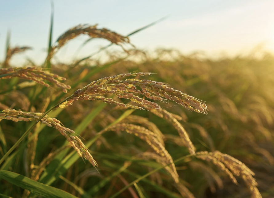 Captura de Tela 2025-05-16 às 15.25.52