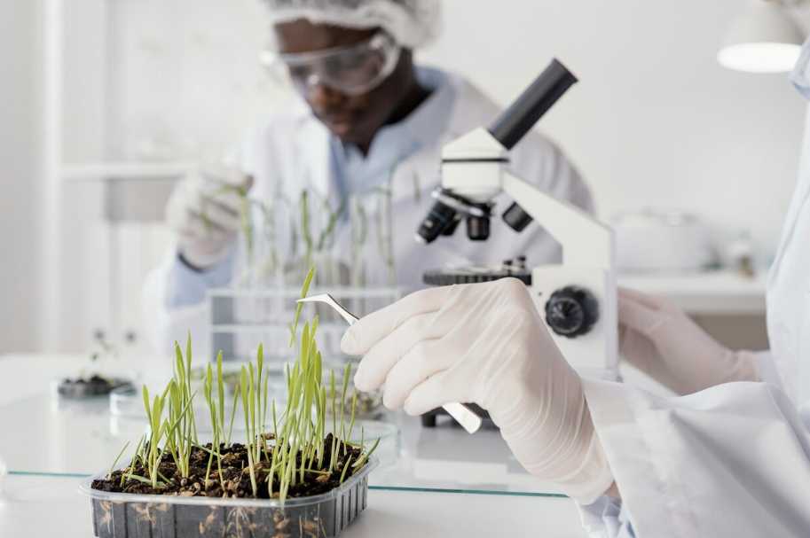 Captura de Tela 2025-05-16 às 15.26.23