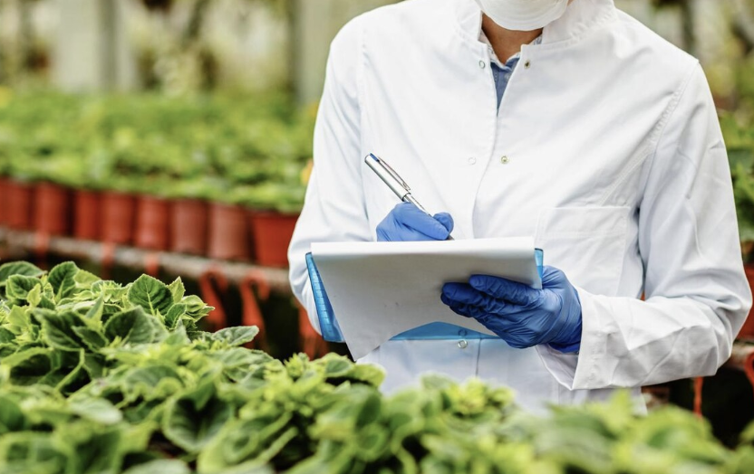 Captura de Tela 2025-05-16 às 15.26.35