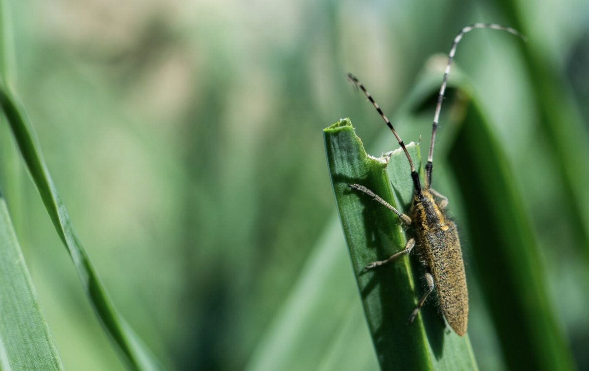Captura de Tela 2025-05-16 às 15.26.57
